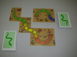 虹色のへび　～カードをつなげてレインボースネークを完成させよう。～