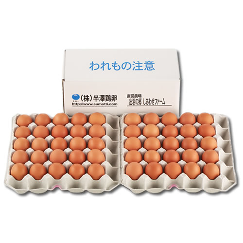 いではのもみじ紅 50個入(破損補償5個を含む)