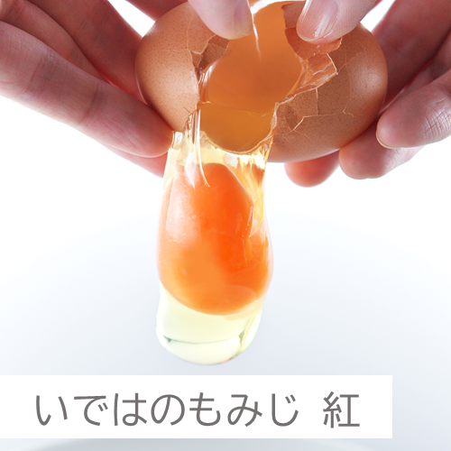 いではのもみじ紅イメージ画像