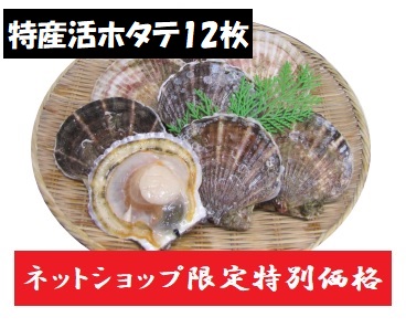 活ホタテ 12枚セット