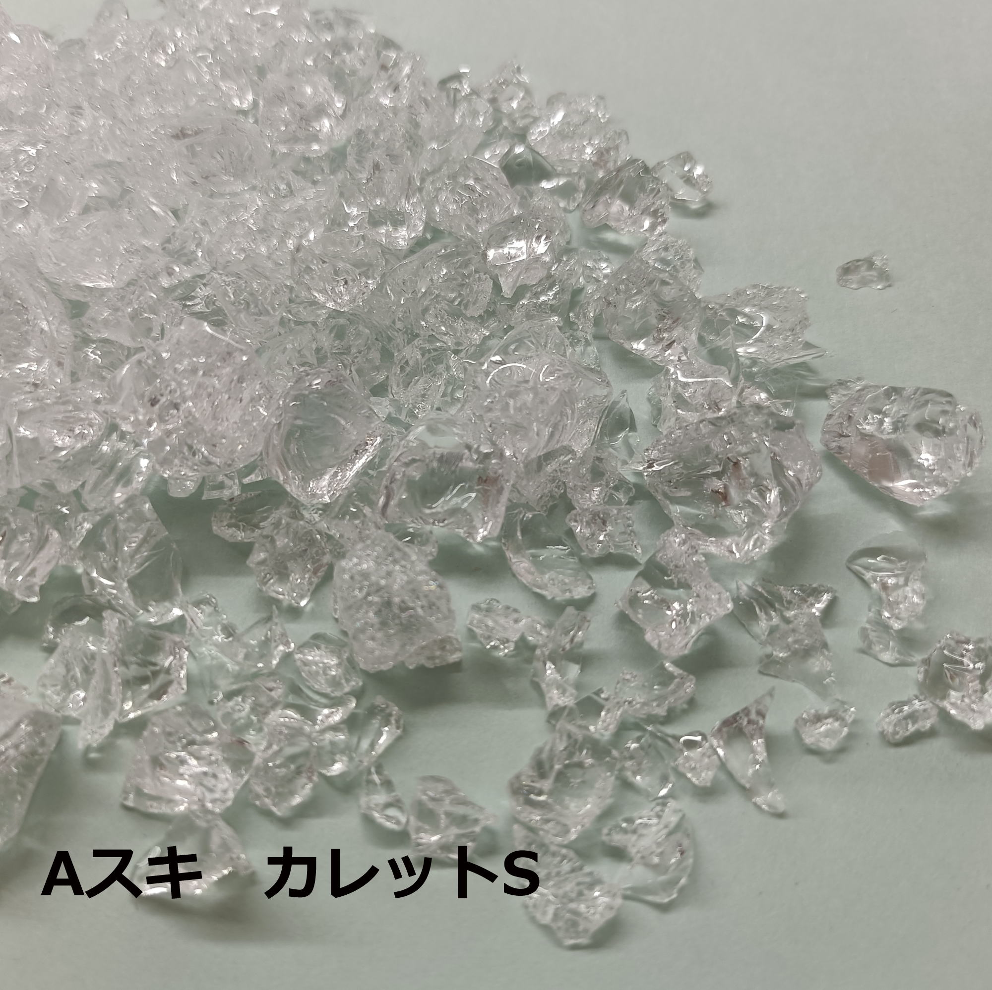 No.81　Ａスキ（B、T、S、フリット、ロンデル）