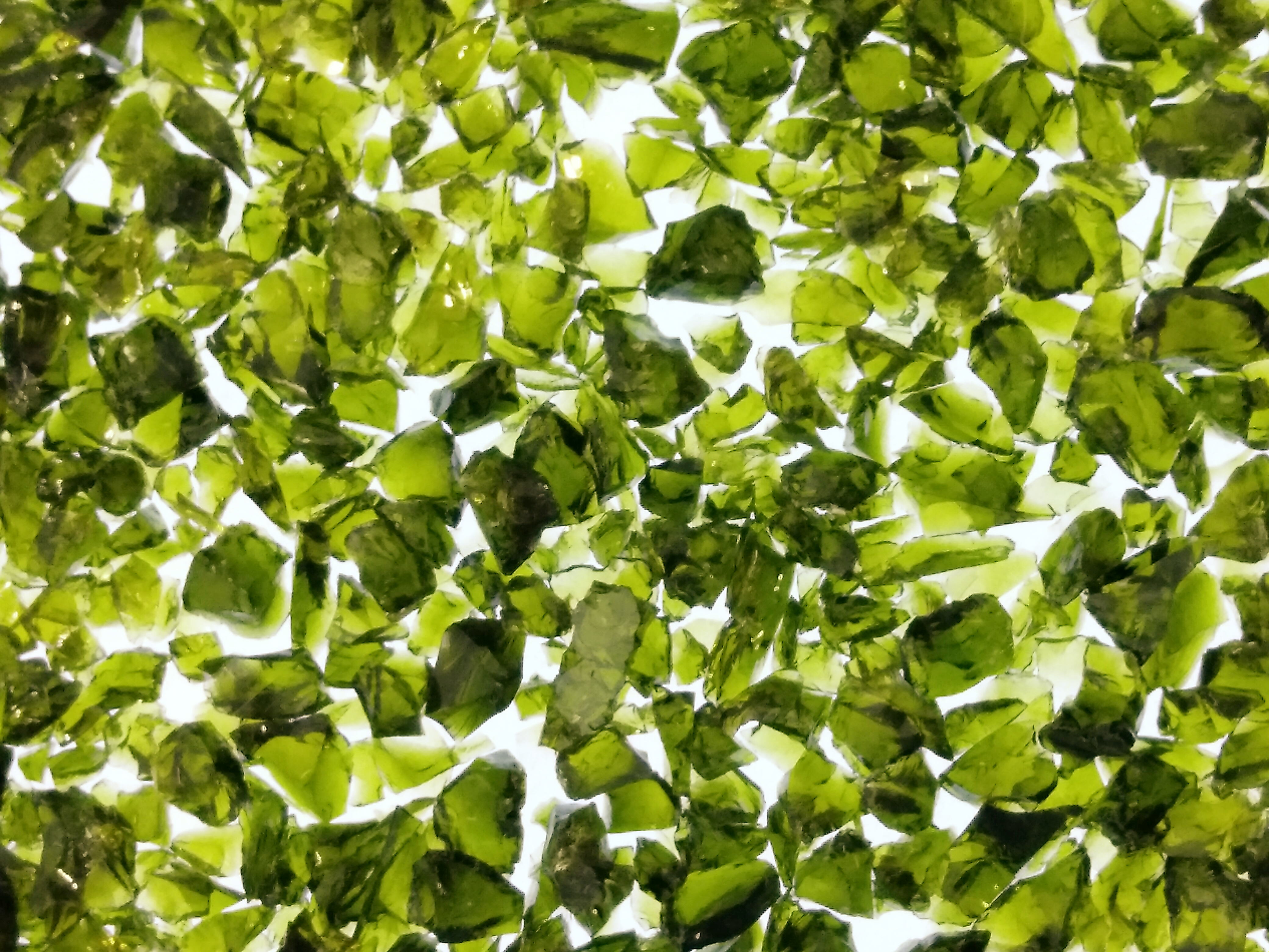 No.37　苔色【こけいろ】（フリットシリーズ）