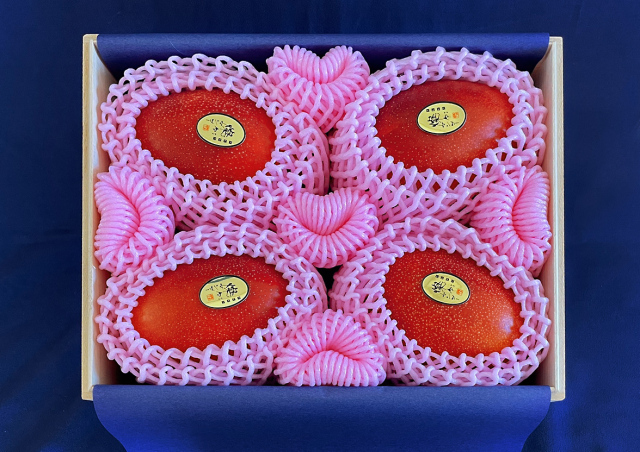 【超激レア】東京銭湯コレクションカード　中乃湯　沖縄01 激レア】沖縄銭湯、東京銭湯コレクションカード9枚セット - メルカリ