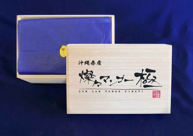 燦々マンゴー 極 900g (2玉)
