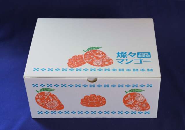 燦々マンゴー 家庭用 1.5kg (3~6玉)
