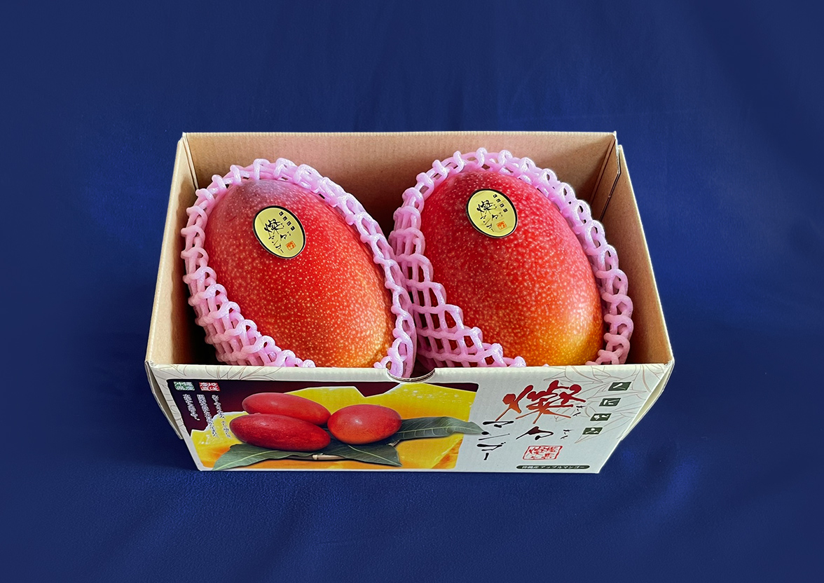 燦々マンゴー 優 1kg (2~3玉)