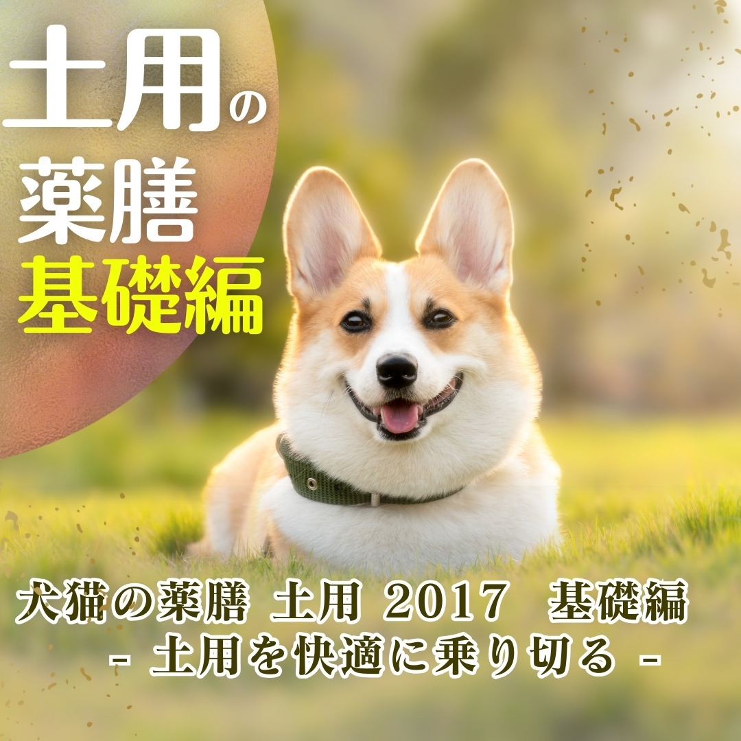 【配信教材】犬猫の薬膳　土用　2017　基礎編　- 土用を快適に乗り切る -　(151分)