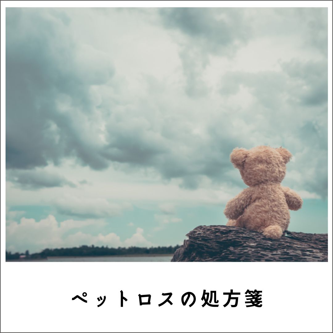 愛犬・愛猫の終活　ペットロスの処方箋2021