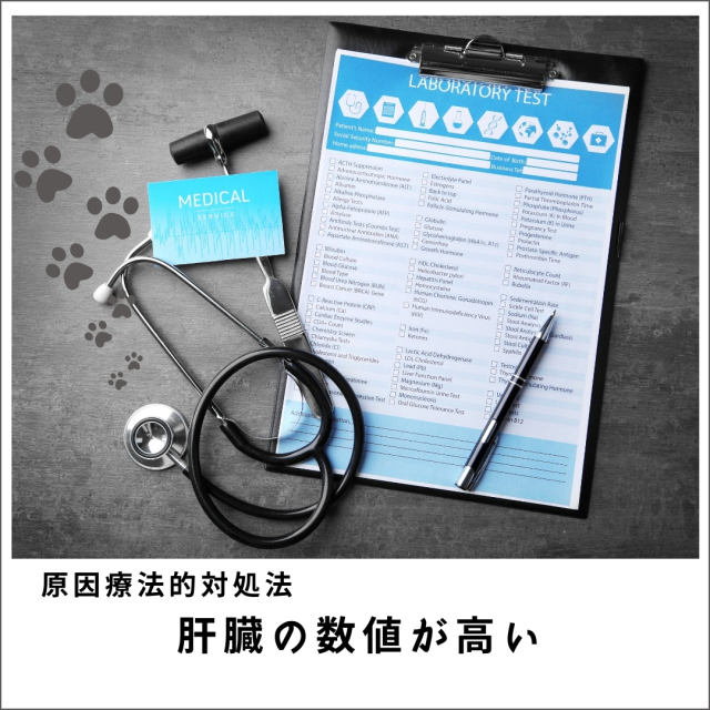 愛犬・愛猫の肝臓の数値が高い2020