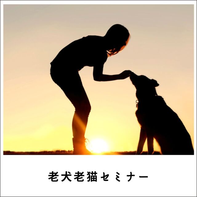 老犬・老猫セミナー2021
