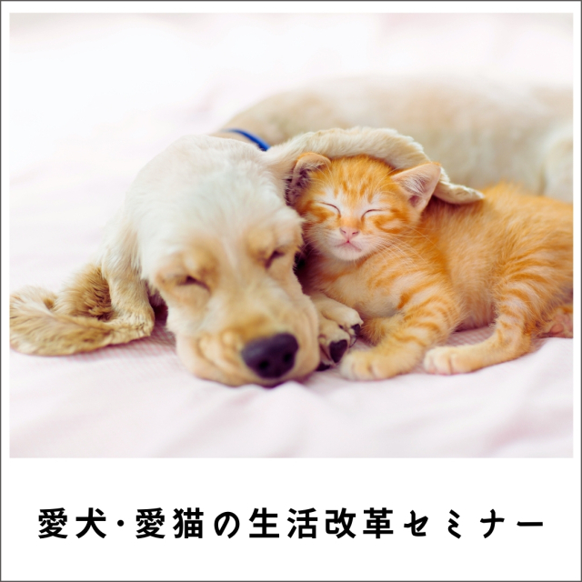 須崎動物病院的 愛犬・愛猫の生活改革セミナー2022　