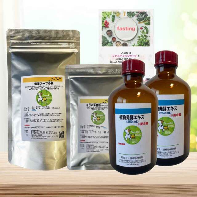 ファスティングセット(大)
