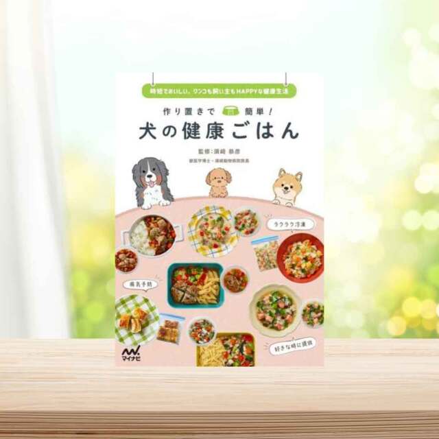 書籍】 改訂版 かんたん犬ごはん -プチ病気・生活習慣病を撃退!老犬