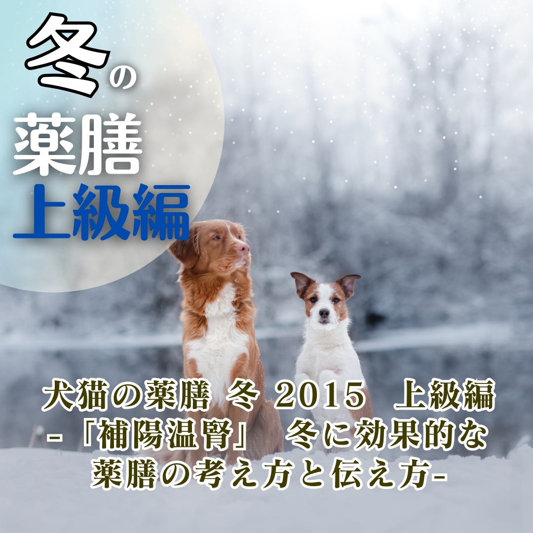 【配信教材】犬猫の薬膳　冬　2015　上級編　- 「補陽温腎」　冬に効果的な薬膳の考え方と伝え方 -　(98分)
