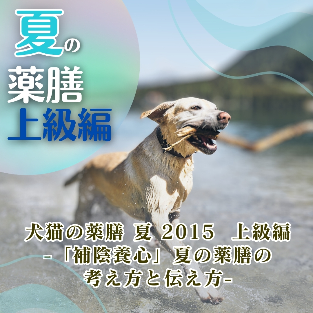 【配信教材】犬猫の薬膳　夏　2015　上級編　- 「補陰養心」夏の薬膳の考え方と伝え方 -　(133分)