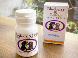 愛犬の瞳に　ブルーベリー＆ルテイン