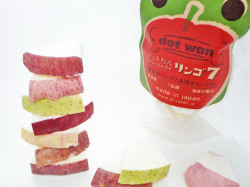 ドットわんフリーズドライ　リンゴ７