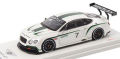 トゥルースケール 1/43 ベントレー コンチネンタル GT3 2012 モンディアル・ド・ロトモビル No.7