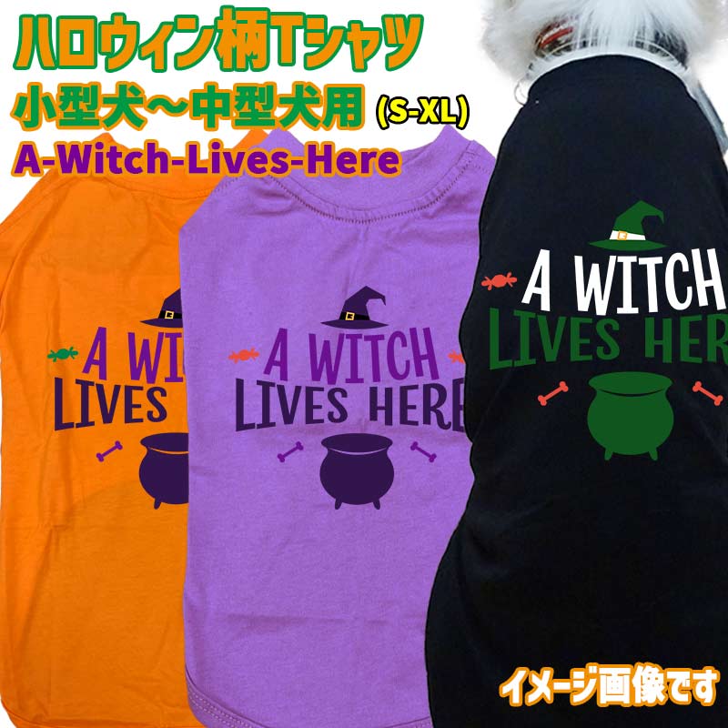 ハロウィン柄！犬用Tシャツ A-WITCH-LIVES-HERE 犬服 halloween ハロウィーン風ロゴ 犬服 超小型犬～中型犬 S～XL 4色展開 リンクコーデ メール便送料無料 【返品、交換、キャンセル不可】