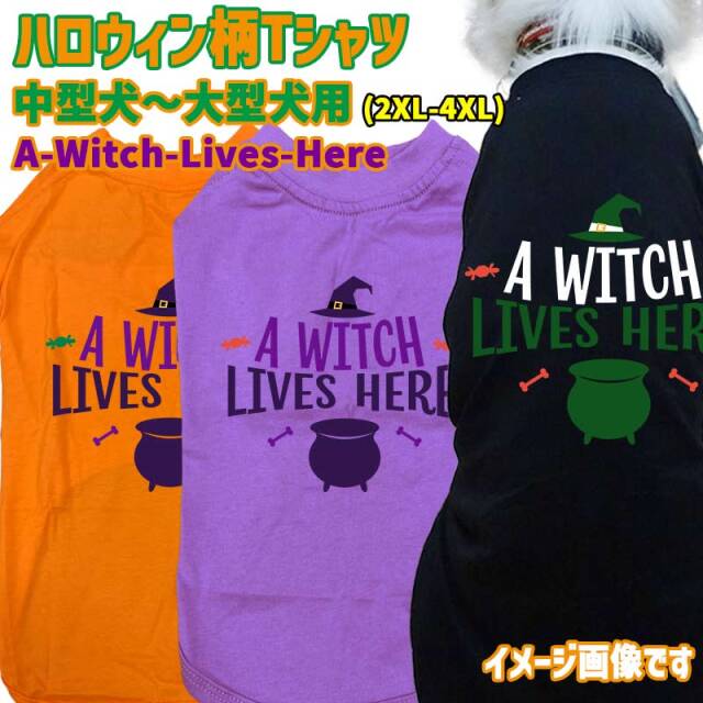 ハロウィン柄！犬用Tシャツ A-WITCH-LIVES-HERE 犬服 halloween ハロウィーン風ロゴ 犬服 中型犬～大型犬 2XL～4XL 4色展開 リンクコーデ メール便送料無料【返品、交換、キャンセル不可】