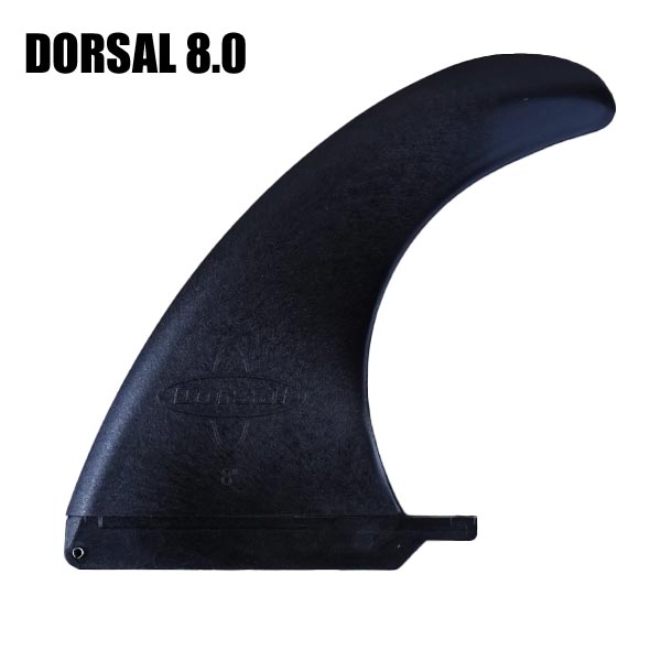 dorsal fin