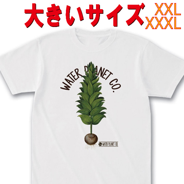 SW オリジナル 大きいサイズ/BIG SIZE BOTANICAL_BULB サーフ柄 S/S WHITE TEE 半袖Ｔシャツ 5.6oz ヘビーウェイト 工場直送 メール便 送料無料 同梱不可[返品、交換及びキャンセル不可]