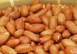 素煎り落花生（ローストピーナッツ）