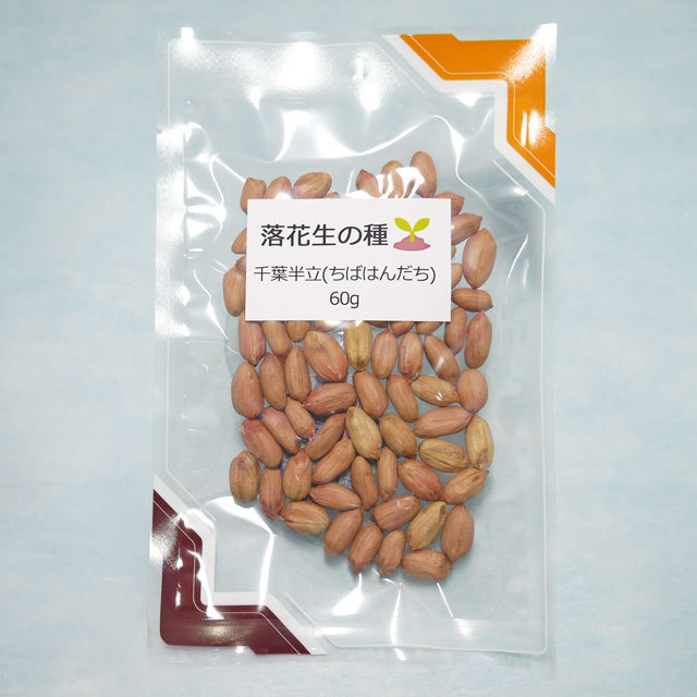 送料込】【メール便】 落花生の種 千葉半立(ちばはんだち) 【60g（約