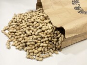 【卸・業務用】 焙煎さや付き落花生（訳あり・はねだし） 【８kｇ入り袋】[※２袋以下は納期要確認]