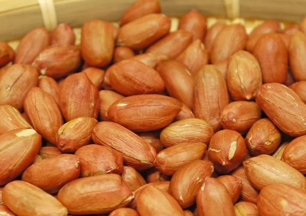 素煎り落花生（ローストピーナッツ）