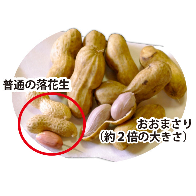 2025年産 新豆》千葉県 八街産 落花生 ゆで落花生 おおまさり 160g 鈴鹿園