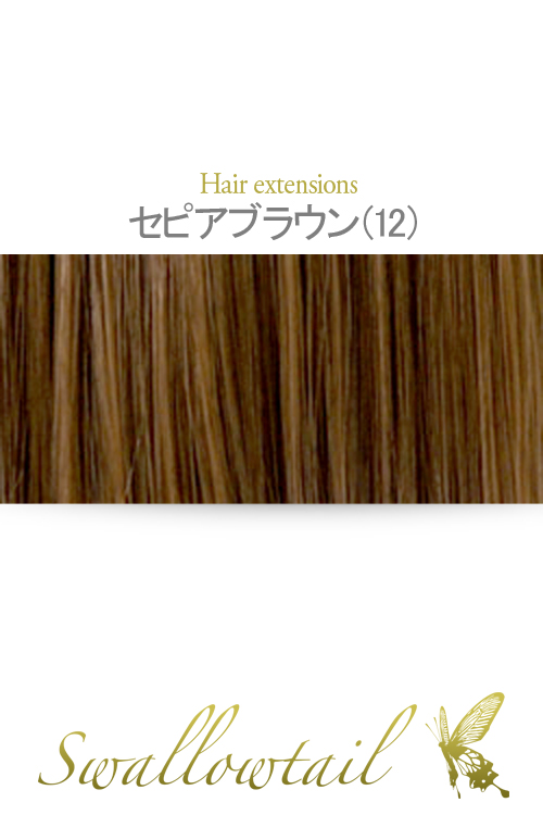 【セピアブラウン】毛束 ex-12