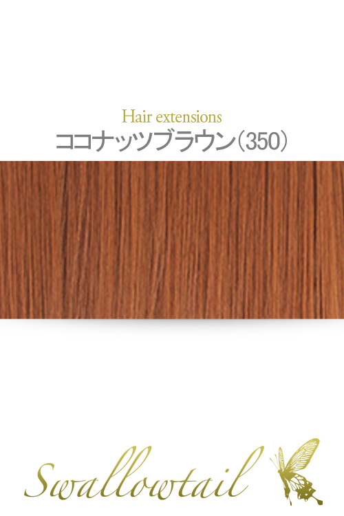 【ココナッツブラウン】毛束 ex-350