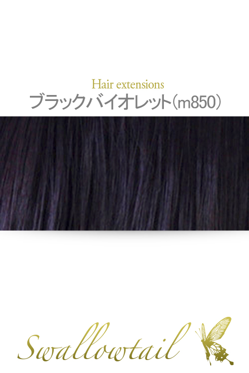 【ブラックバイオレット】毛束 ex-m850