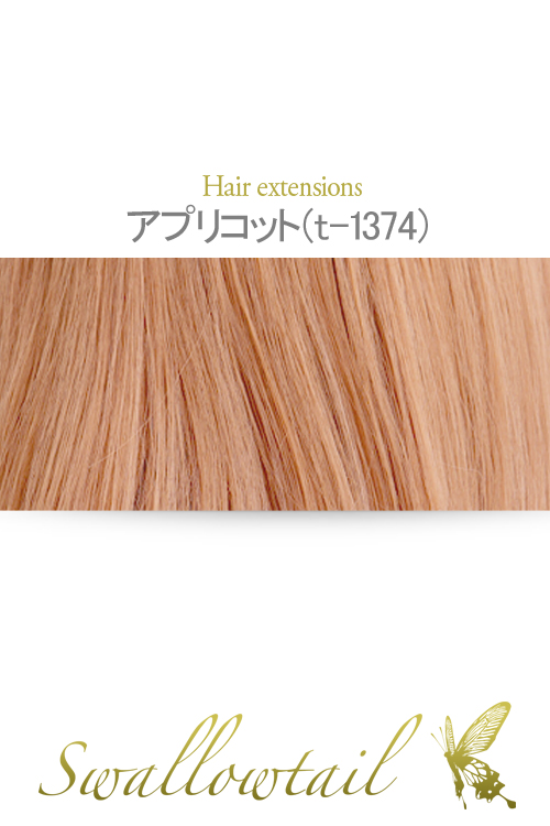 【アプリコット】毛束 ex-t1374