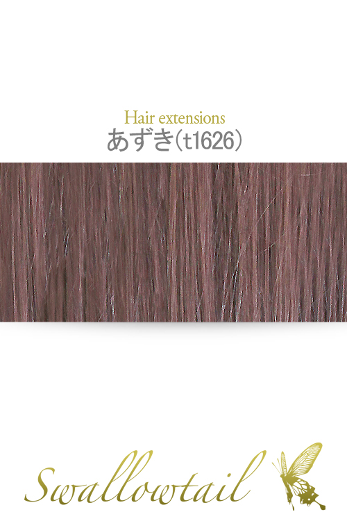☆【あずき】毛束 ex-t1626