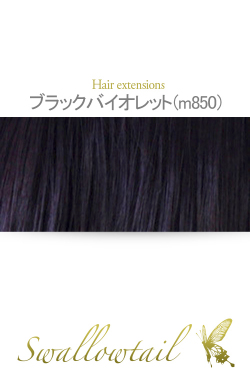 【ブラックバイオレット】毛束 ex-m850