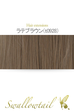 【ラテブラウン】毛束 ex-t0928