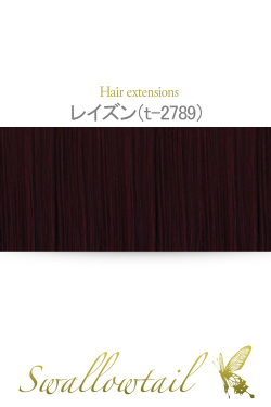 【レイズン】毛束 ex-t2789