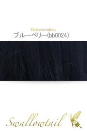 【ブルーベリー】毛束 ex-bb0024