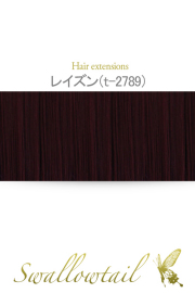【レイズン】毛束 ex-t2789
