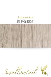 【霞色】毛束 ex-t4503
