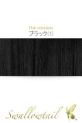 【ブラック】毛束 ex-1
