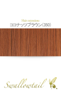 【ココナッツブラウン】毛束 ex-350