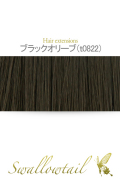 【ブラックオリーブ】毛束 ex-t0822