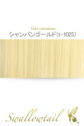 【シャンパンゴールド】毛束 ex-t1025