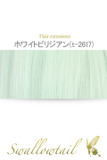 【ホワイトビリジアン】毛束 ex-t2617