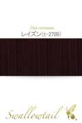 【レイズン】毛束 ex-t2789