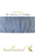 【ダークシルバー】毛束 ex-t4220