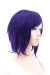 コスプレウィッグ ショートレイヤー バイオレット